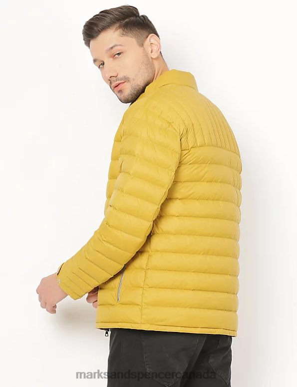 Men Yellow Clothing Marks & Spencer Feather and Down Puffer Jacket 20VTD7473 - Marks and Spencer Canada locations