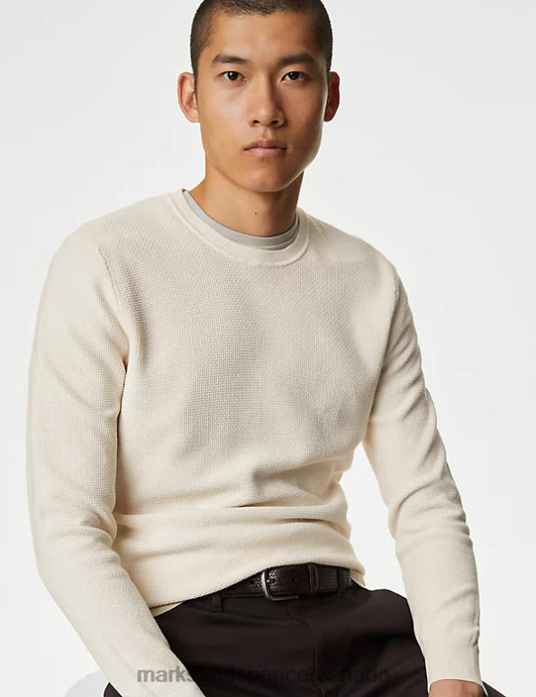 Marks and Spencer Canada - Men Neutral Clothing Marks & Spencer Pure Supima Cotton Crew Neck Jumper 20VTD6960