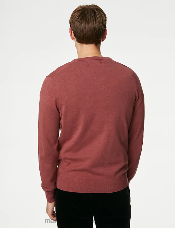 Men Oxblood Clothing Marks & Spencer Pure Cotton V-Neck Knitted Jumper 20VTD7207 - Marks and Spencer online
