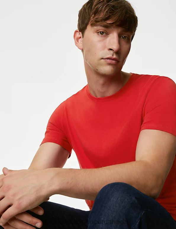 Men Berry Red Clothing Marks & Spencer Pure Cotton Crew Neck T-Shirt 20VTD163 - Marks and Spencer Canada locations