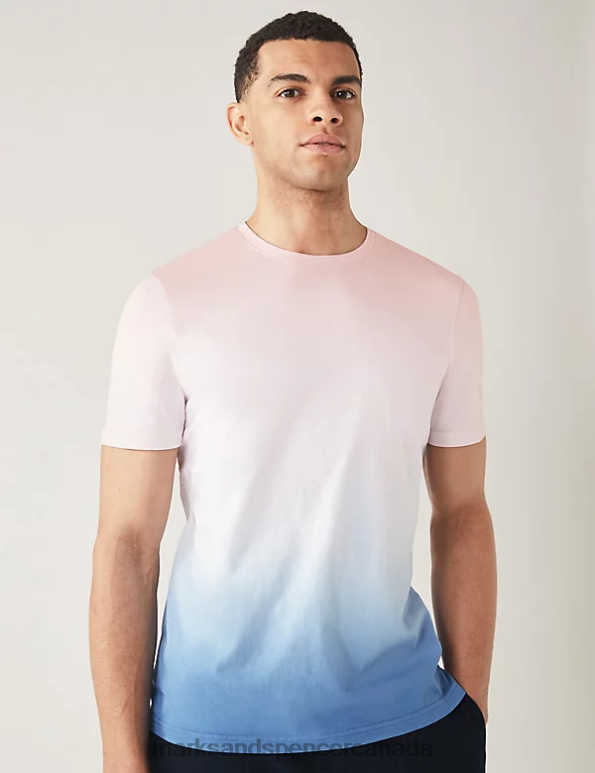 Men Blue Mix Clothing Marks & Spencer Pure Cotton Ombre T-Shirt 20VTD5928 - Marks and Spencer online