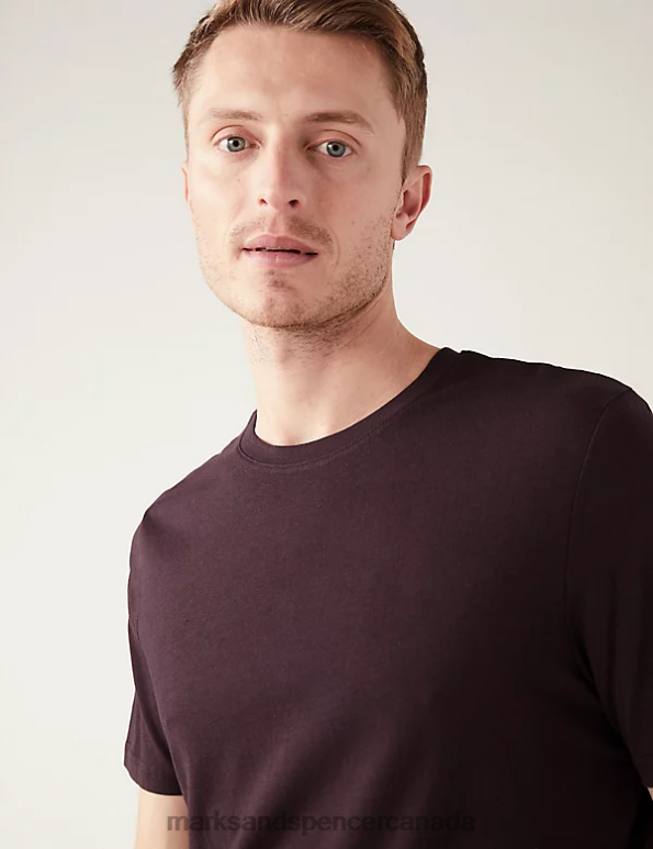 Men Dark Burgundy Clothing Marks & Spencer Pure Cotton Crew Neck T-Shirt 20VTD143 - Marks and Spencer online