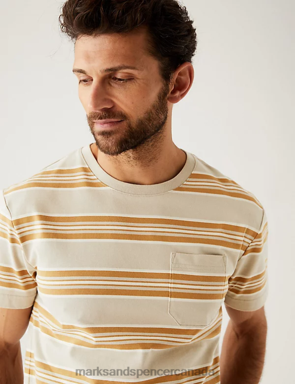 Marks and Spencer sale - Men Dark Stone Clothing Marks & Spencer Pure Cotton Striped Heavy Weight T-Shirt 20VTD7110