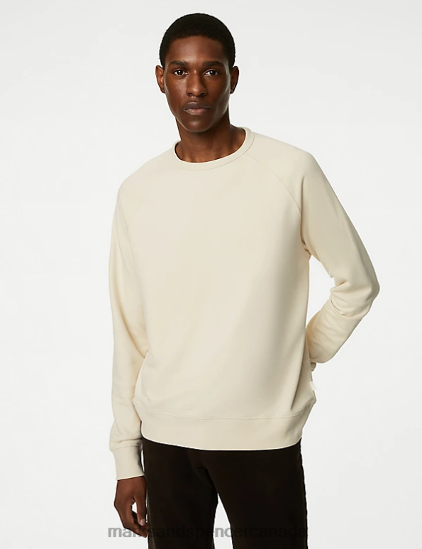 Men Ecru Clothing Marks & Spencer Pure Cotton Raglan Crew Neck Sweatshirt 20VTD7534 - Marks and Spencer online