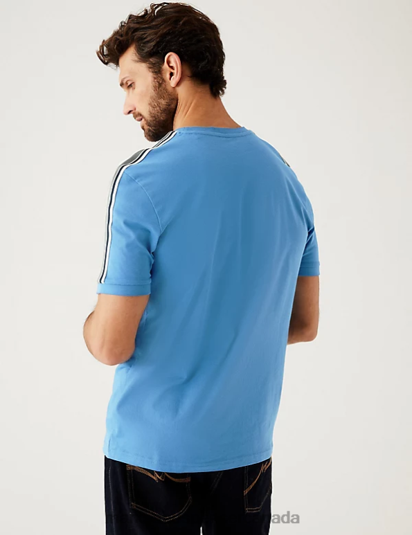 Men Ocean Clothing Marks & Spencer Pure Cotton T-Shirt 20VTD4856 - Marks and Spencer online