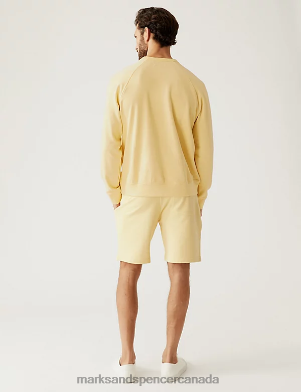 Marks and Spencer near me - Men Yellow Clothing Marks & Spencer Pure Cotton Raglan Crew Neck Sweatshirt 20VTD7532