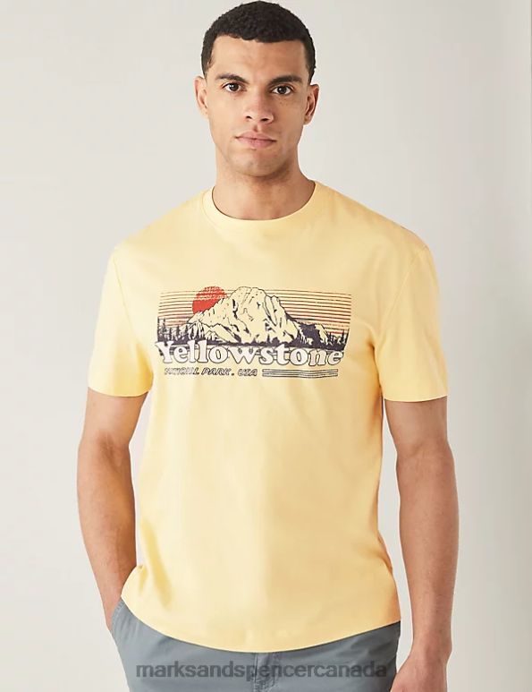 Marks and Spencer sale - Men Yellow Clothing Marks & Spencer Pure Cotton stone Graphic T-Shirt 20VTD6842